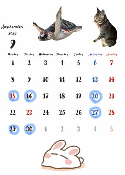 9月予定 雪兎 (27) 埼玉県（出張性感マッサージ
