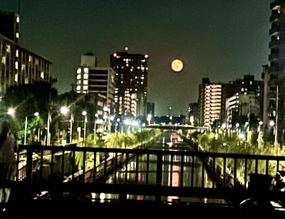竜胆 (49) 東京 萬天堂 / 出張性感マッサージ
