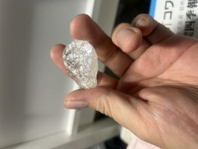 竜胆 (49) 東京 萬天堂 / 出張性感マッサージ