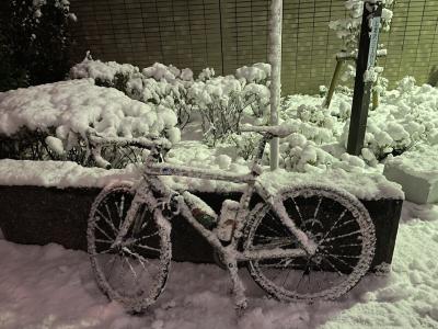 自転車 蔵人 (33) 東京都（出張性感マッサージ