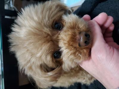 こういち (38) 名古屋 萬天堂 / 出張性感マッサージ