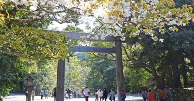 【どんな現実でも、最後はきっと上手くいく】 恭介 (48) 京都府（出張性感マッサージ