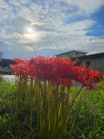 「秋分の日」 ユージ (53) 富山県（出張性感マッサージ