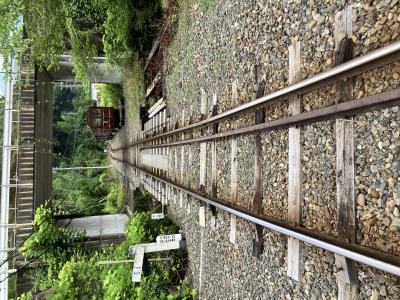 電車に乗って🚃 梨央 (30) 静岡県（出張性感マッサージ