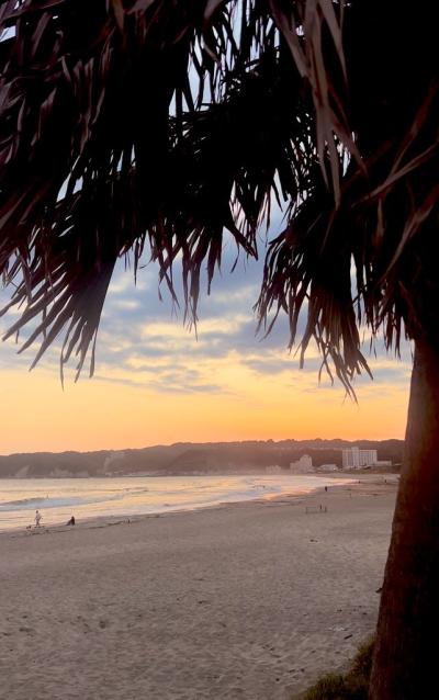 亜呂 (49) 水戸 萬天堂 / 出張性感マッサージ