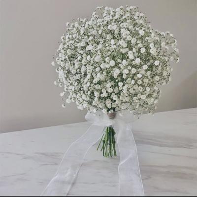 桓騎 (45) 名古屋 萬天堂 / 出張性感マッサージ