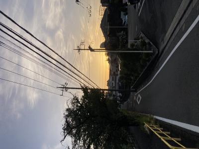 出勤🏃‍♂️ たつのり (37) 東京都（出張性感マッサージ