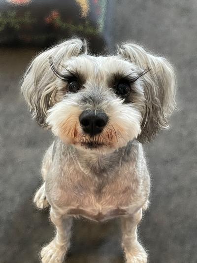 シュナ (42) 名古屋 萬天堂 / 出張性感マッサージ