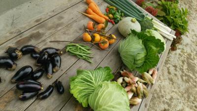 タカシ (46) 高松 萬天堂 / 出張性感マッサージ