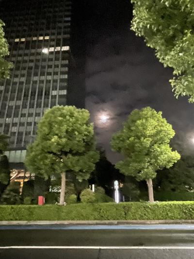 蔵人 (33) 東京 萬天堂 / 出張性感マッサージ