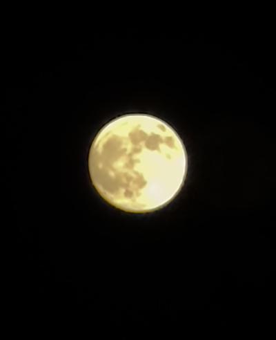 中秋の名月 与一 (42) 福岡県（出張性感マッサージ