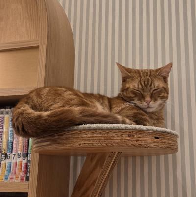 友斗 (43) 水戸 萬天堂 / 出張性感マッサージ