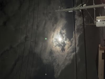 レイン (29) 大阪 萬天堂 / 出張性感マッサージ