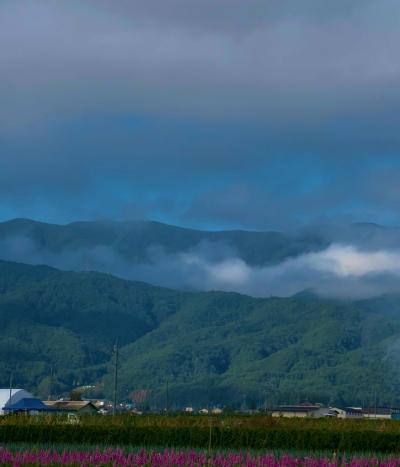 亜呂 (49) 水戸 萬天堂 / 出張性感マッサージ