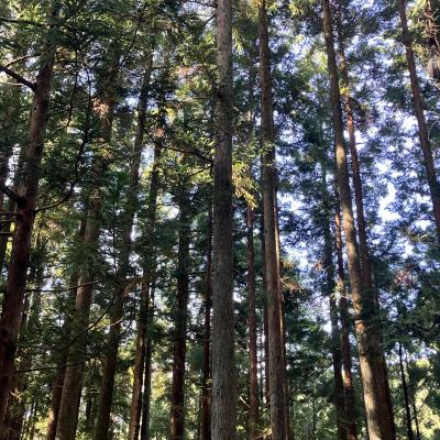 忙しいことは幸せですね☺️ 梨央 (30) 静岡県（出張性感マッサージ