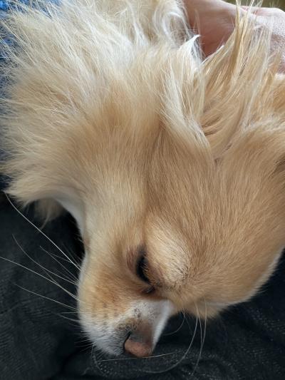 無題 とも (32) 京都府（出張性感マッサージ