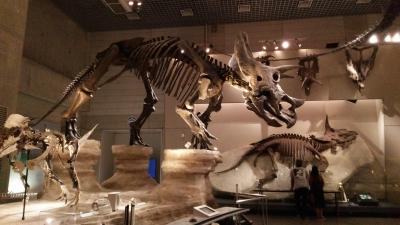 タカシ (46) 高松 萬天堂 / 出張性感マッサージ