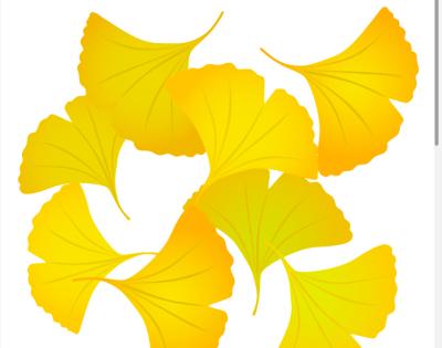 僕はいつもこんな感じ まどか (50) 大阪府（出張性感マッサージ