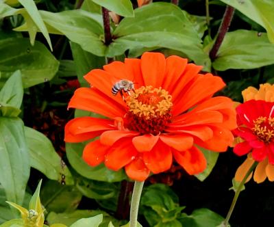 えがお (47) 京都 萬天堂 / 出張性感マッサージ