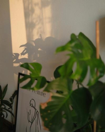 なおと (57) 東京 萬天堂 / 出張性感マッサージ