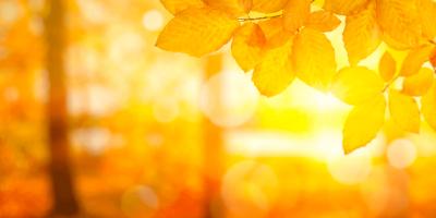 心がほっとする時間を、ゆっくりと 獠 (54) 埼玉県（出張性感マッサージ