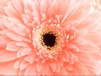 はると (55) 大阪 萬天堂 / 出張性感マッサージ