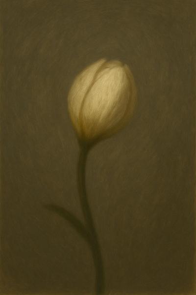 田中 (38) 東京 萬天堂 / 出張性感マッサージ