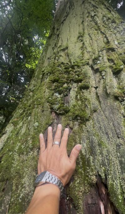 みなさま良い夢みてくださいね…❤️ 亜呂 (49) 茨城県（出張性感マッサージ